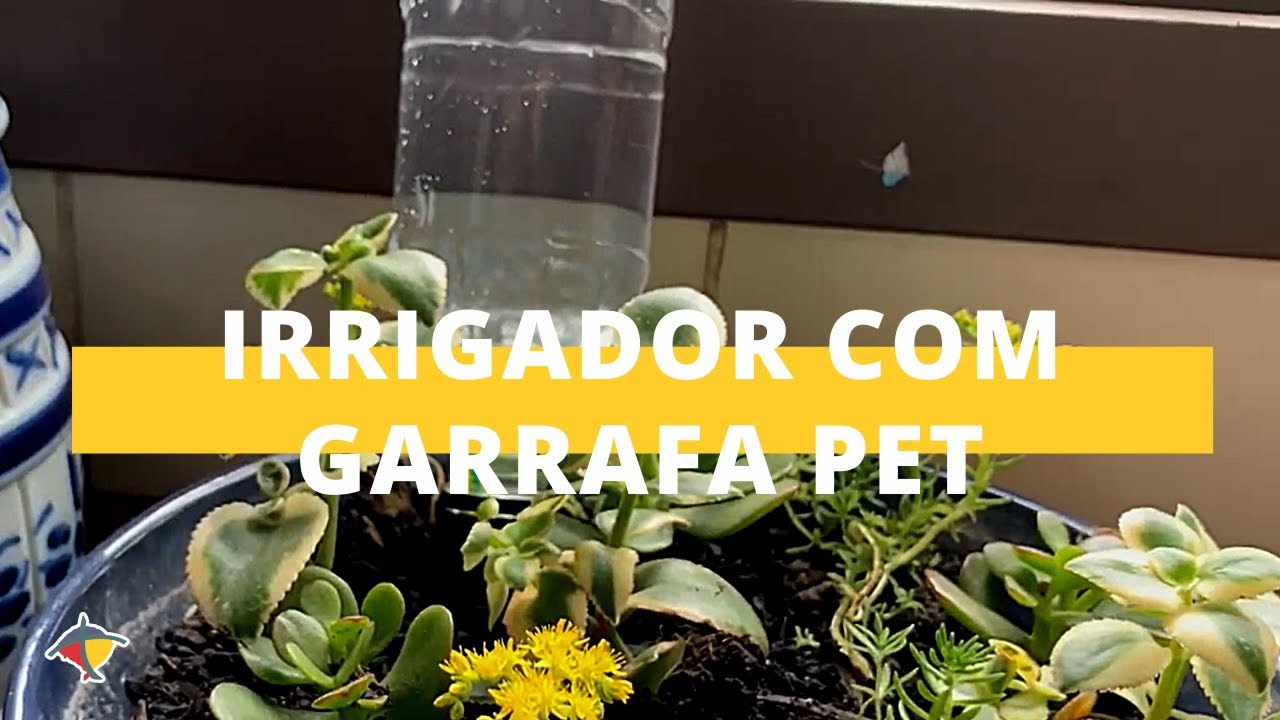 Dicas de segurança para manusear garrafas com conta-gotas